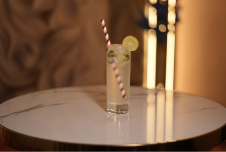 virgin mojito 450 x 303 (1)